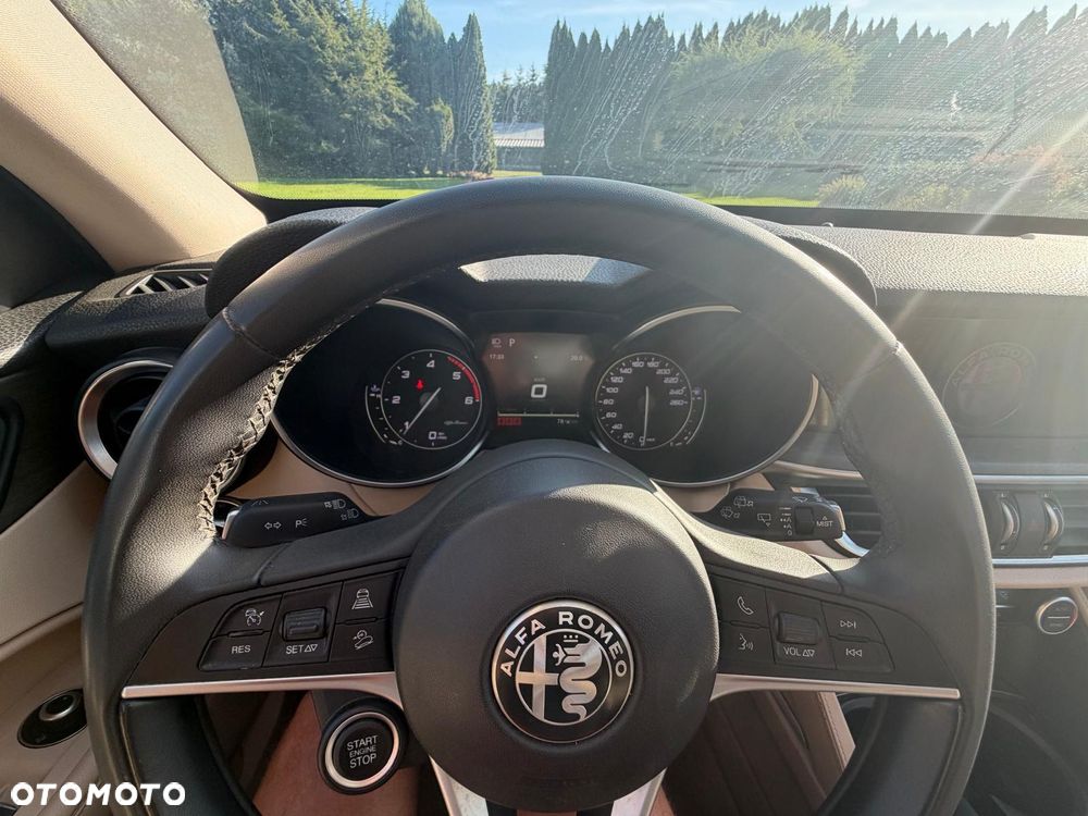Alfa Romeo Stelvio 2.2 16V AT8-Q4 Executive - 21