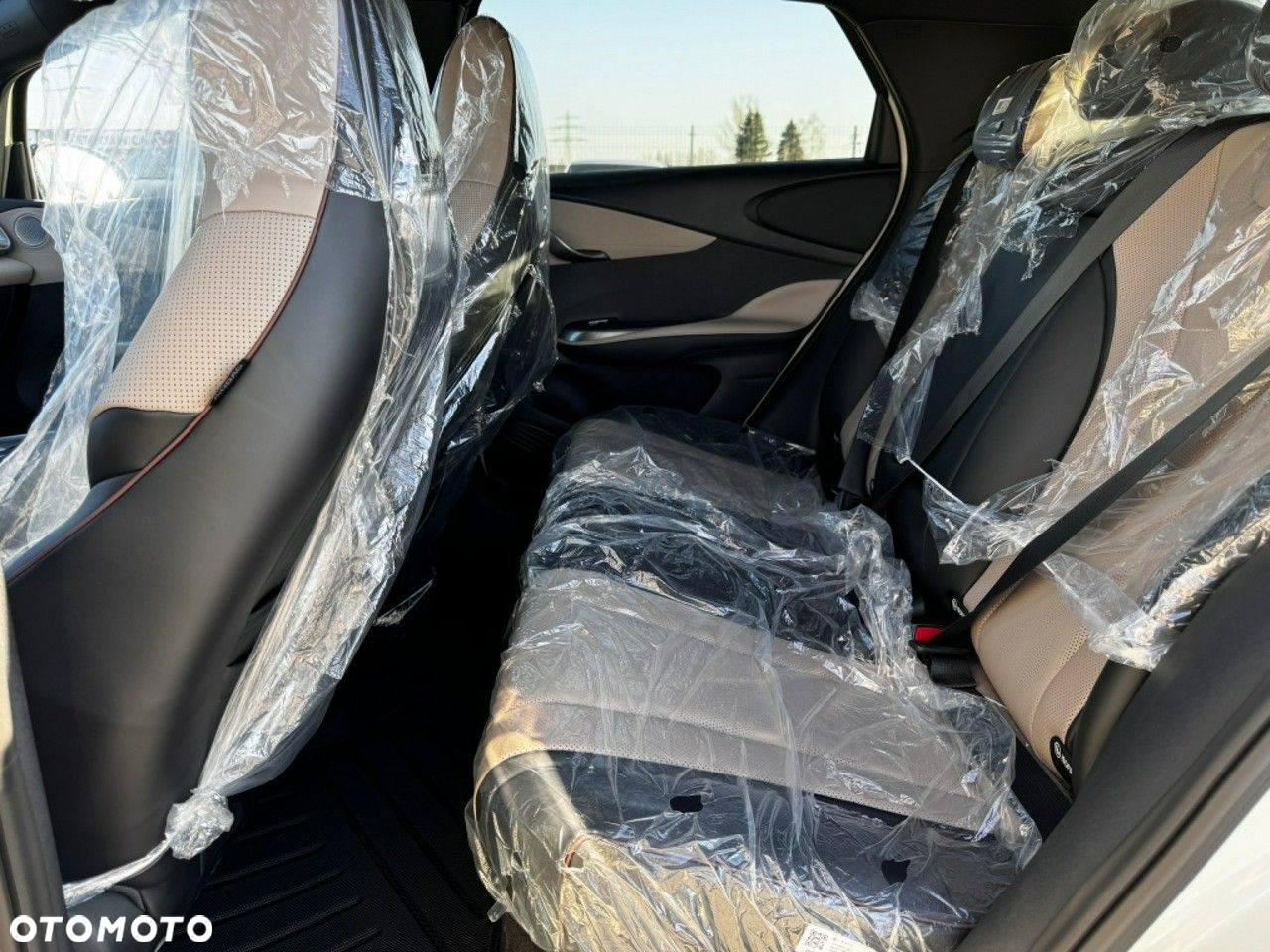 BYD Dolphin Active - 21