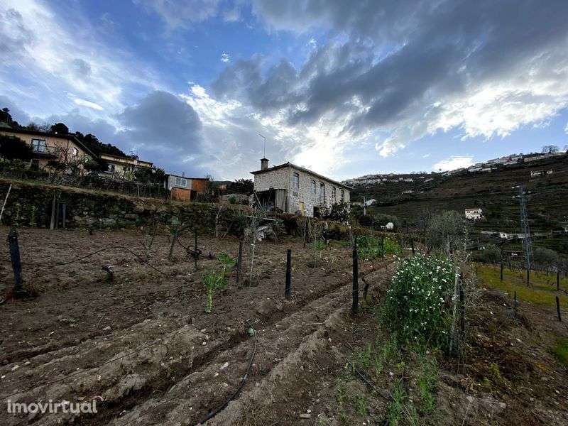Casa rural em Lamego VENDA - Grande imagem: 2/12