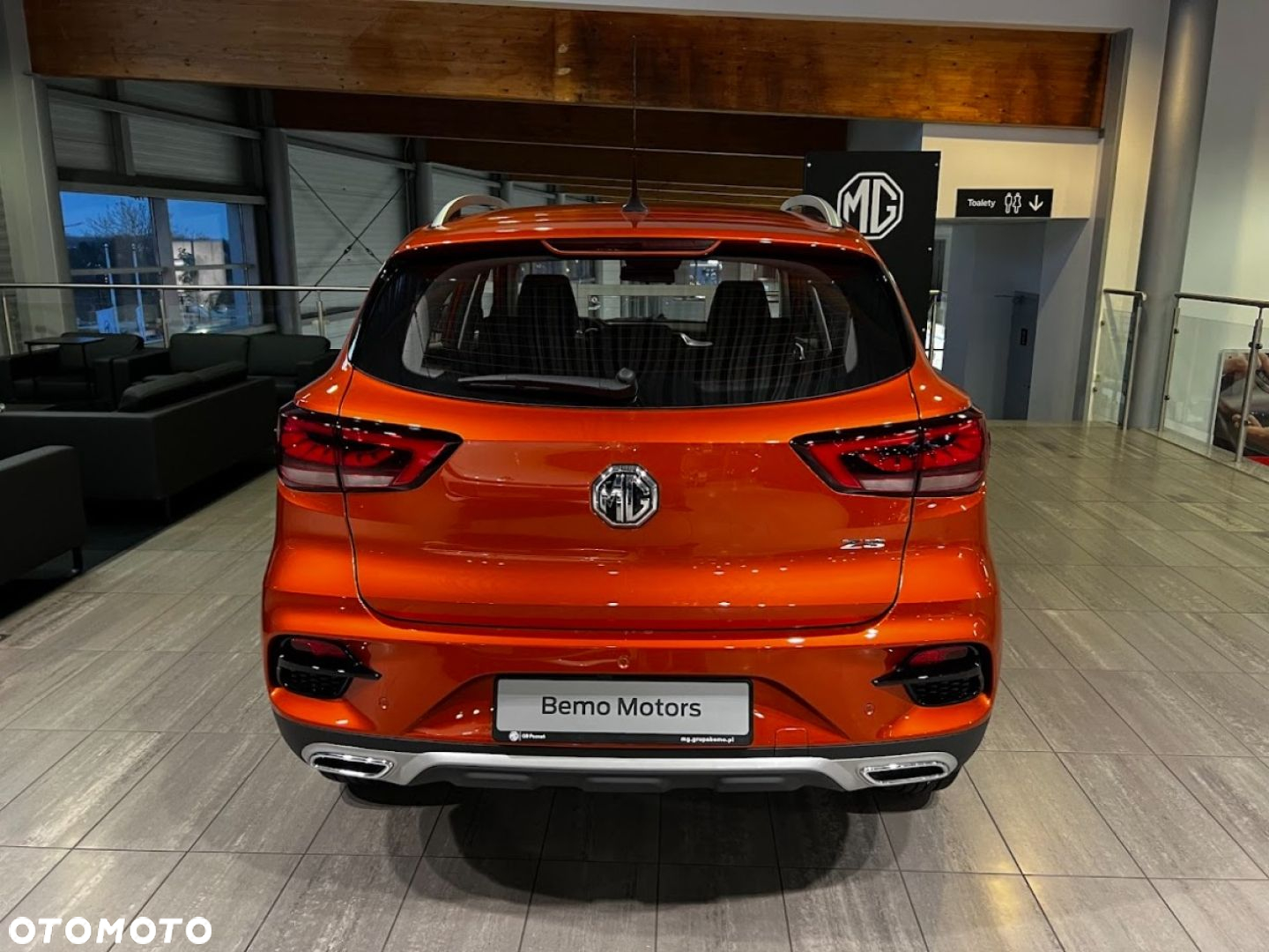 MG ZS - 6
