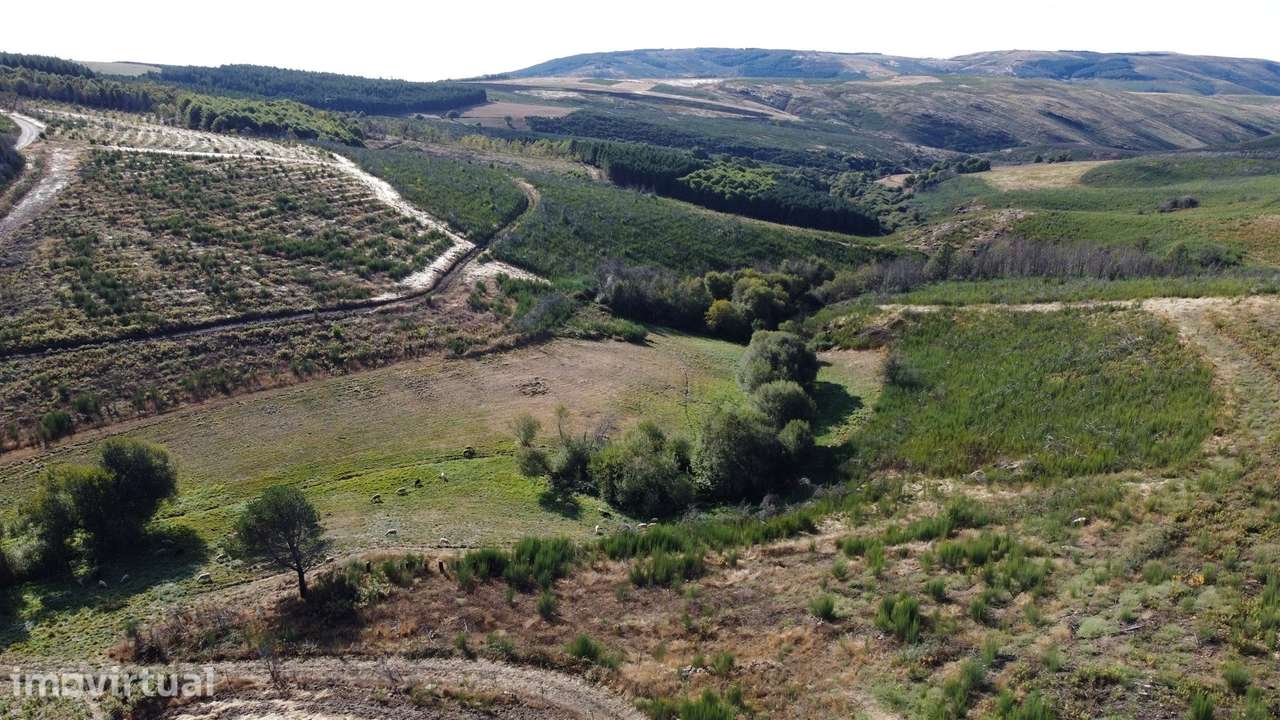 Duas habitações em 18 hectares - Grande imagem: 2/21
