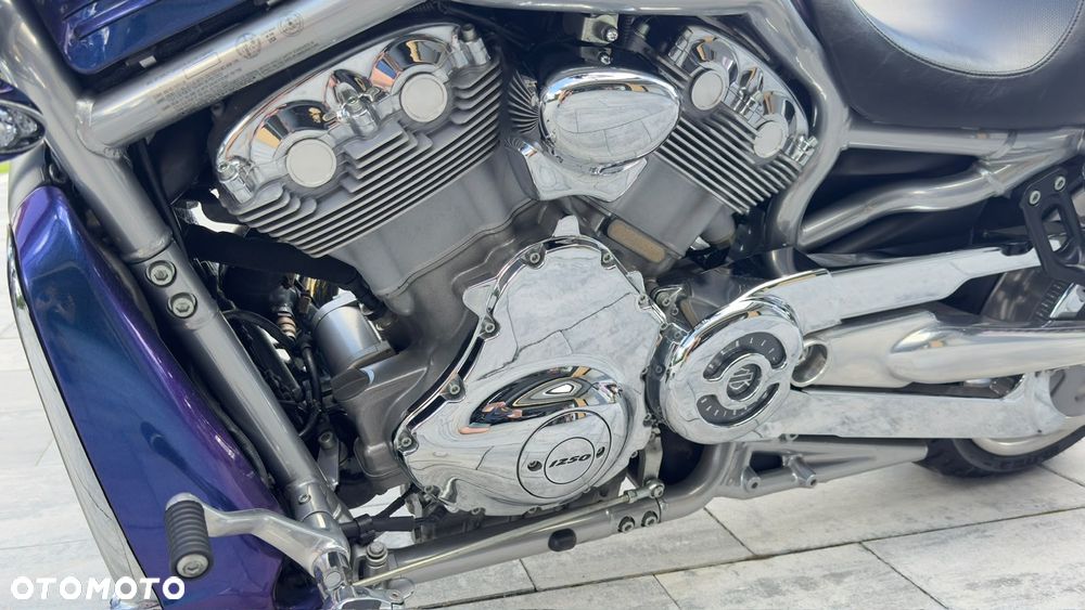 Harley-Davidson V-Rod Street Rod - 11