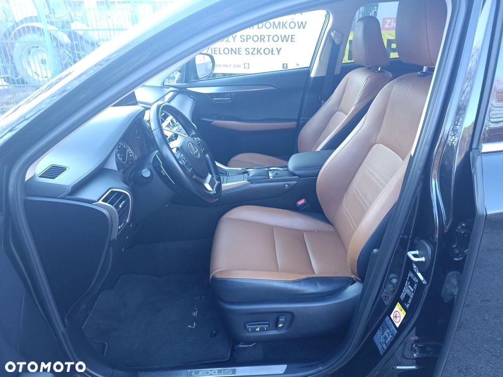 Lexus NX 300 Comfort AWD - 18