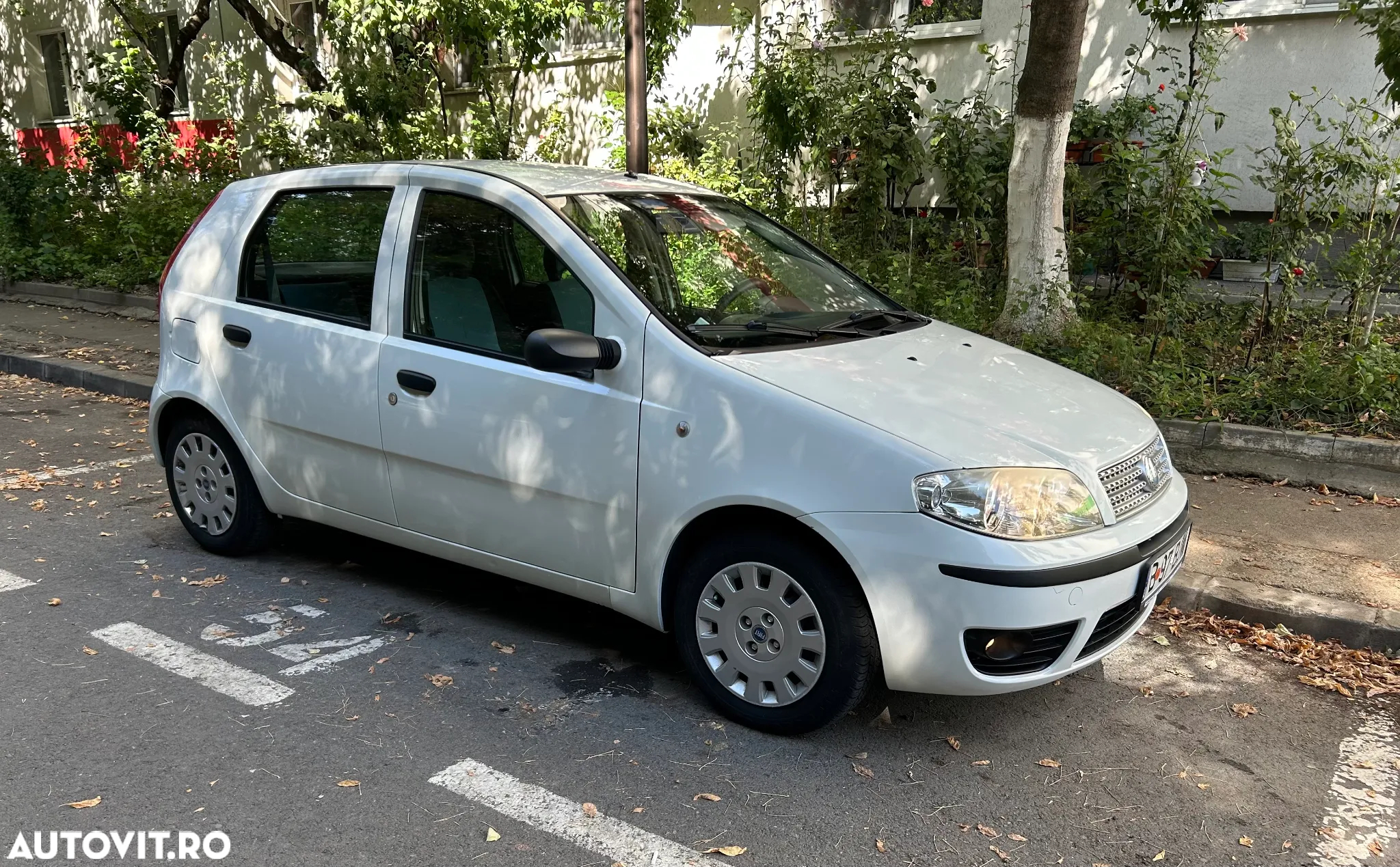 Fiat Punto 1.3 Multijet Classico - 4