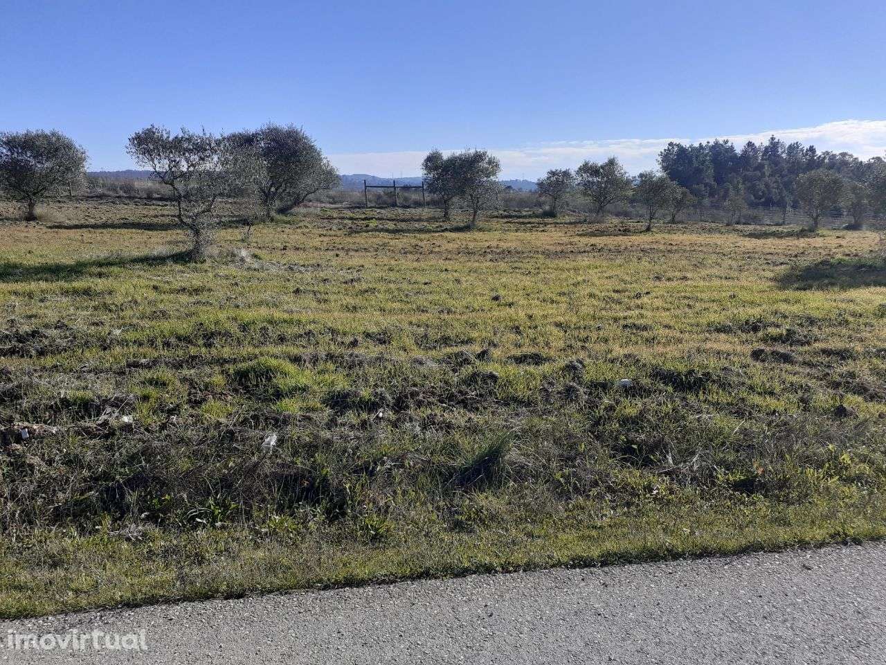 Terreno Rústico em Tomar - Grande imagem: 4/11