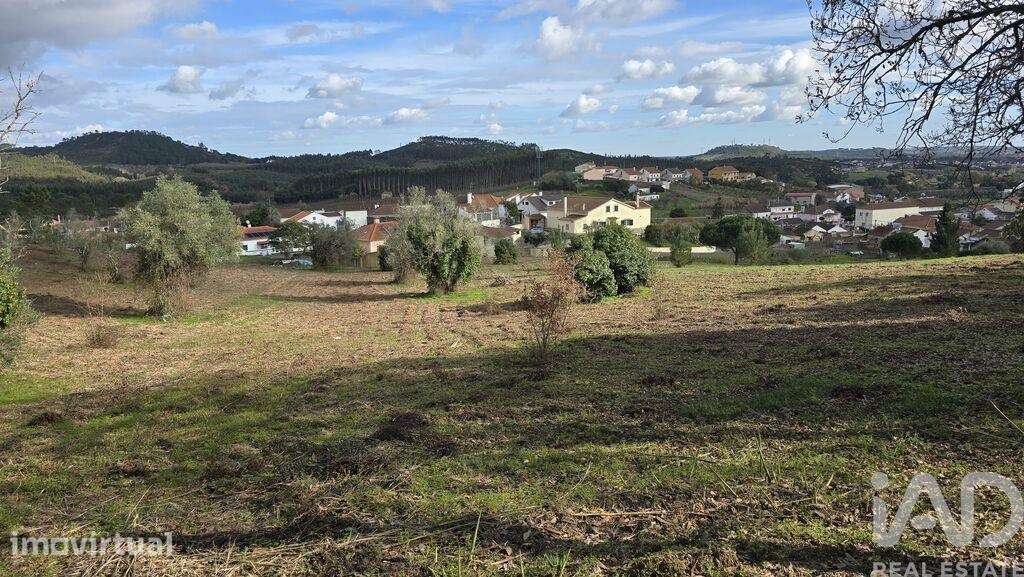 Terreno para construção em Lamas e Cercal - Grande imagem: 4/13