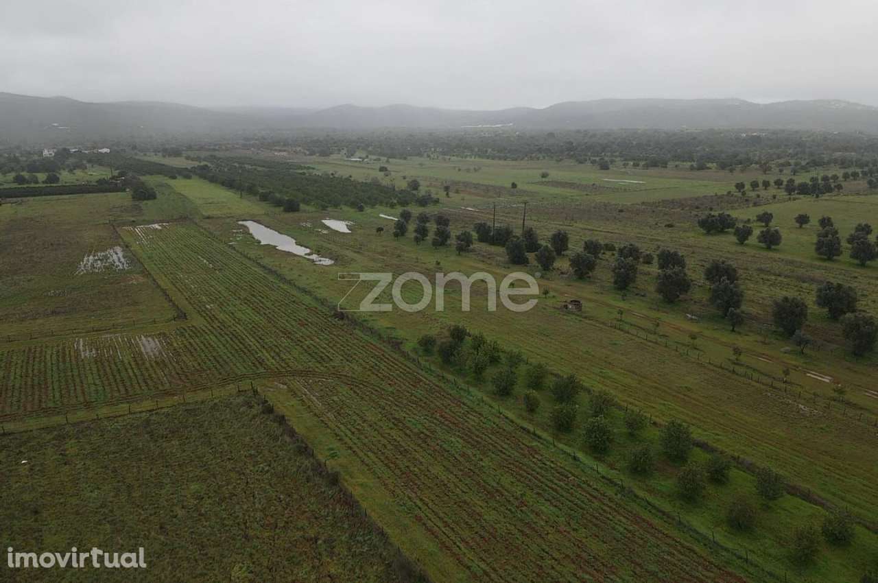 Terreno Rústico c/ 2.440m2 em Lenciscais, Paderne, Albufeira - Grande imagem: 2/16