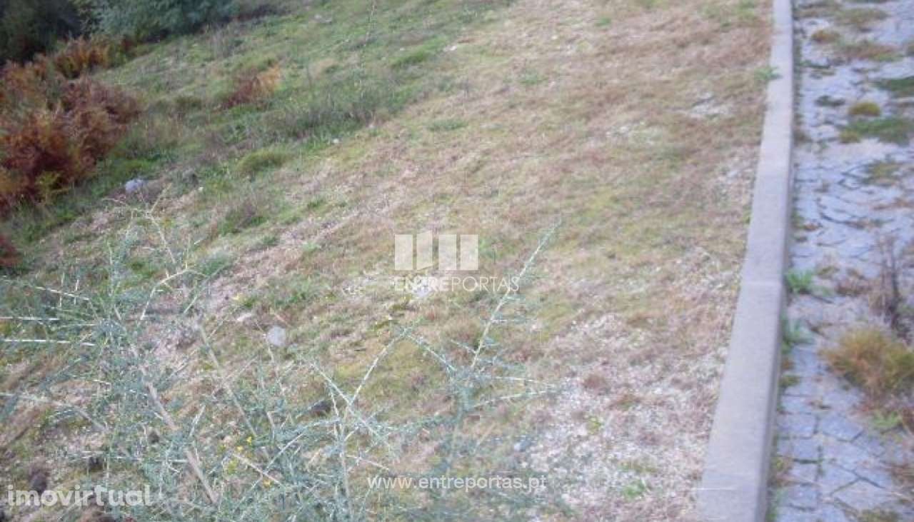 Venda Lote, Grilo, Baião - Grande imagem: 4/24