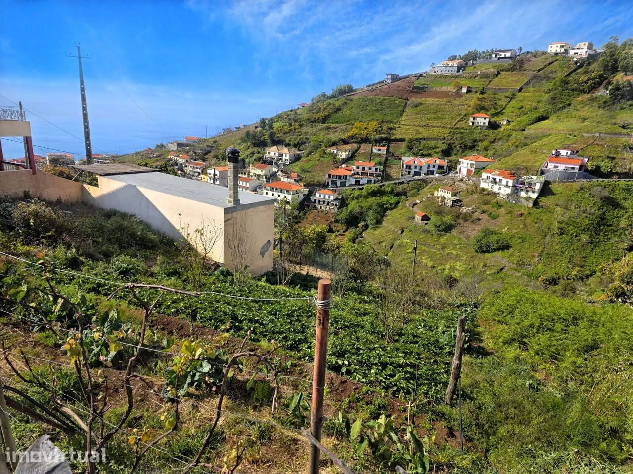 Terreno - Estreito de Câmara de Lobos - Grande imagem: 3/11