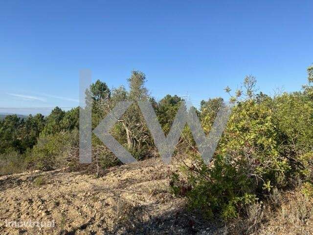 Terreno para Construção + Rústico em Tremês, Santarém - Grande imagem: 3/39