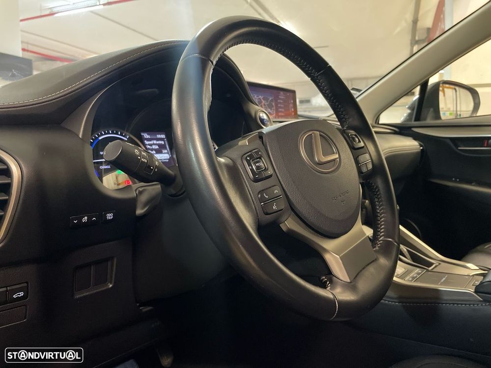 Lexus NX 300h - 12