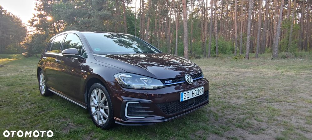 Volkswagen Golf 1.4 GTE Plug-In-Hybrid DSG - 1