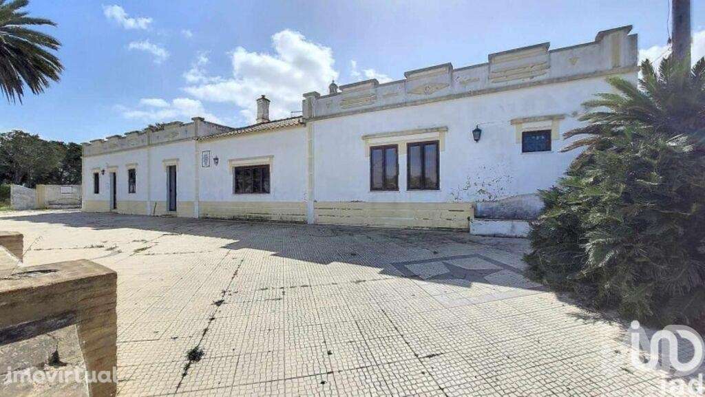 Quinta T4 em Alcantarilha e Pêra de 732 m2 - Grande imagem: 3/29