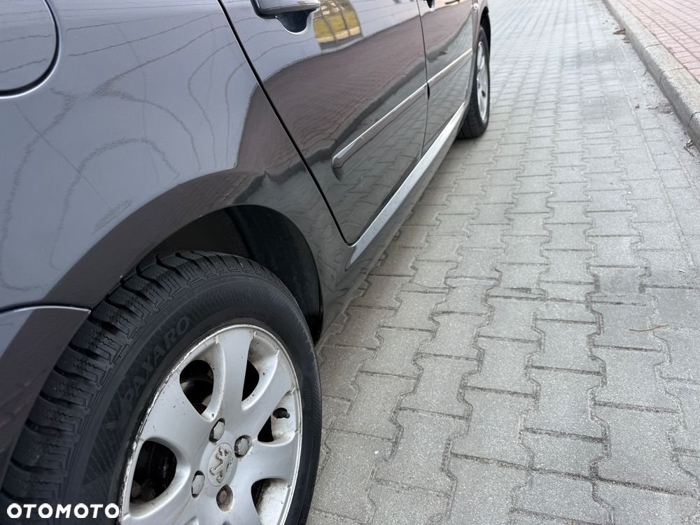 Peugeot 307 1.6 Trendy - 14