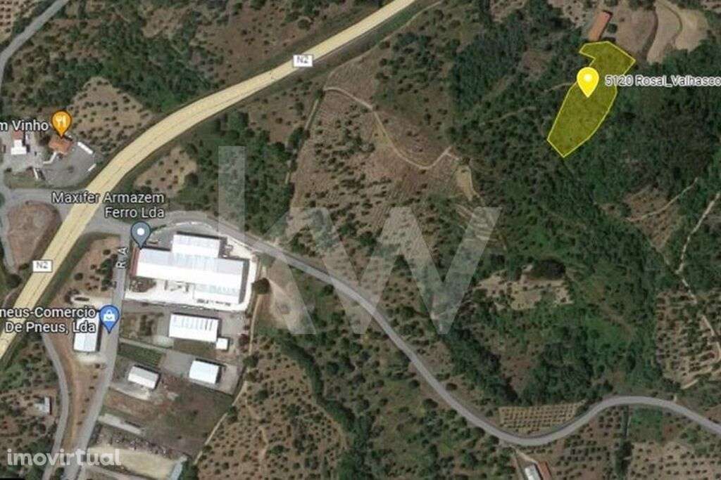 Terreno Rústico | 5.120 m2 | Sardoal , Valhascos - Grande imagem: 3/6