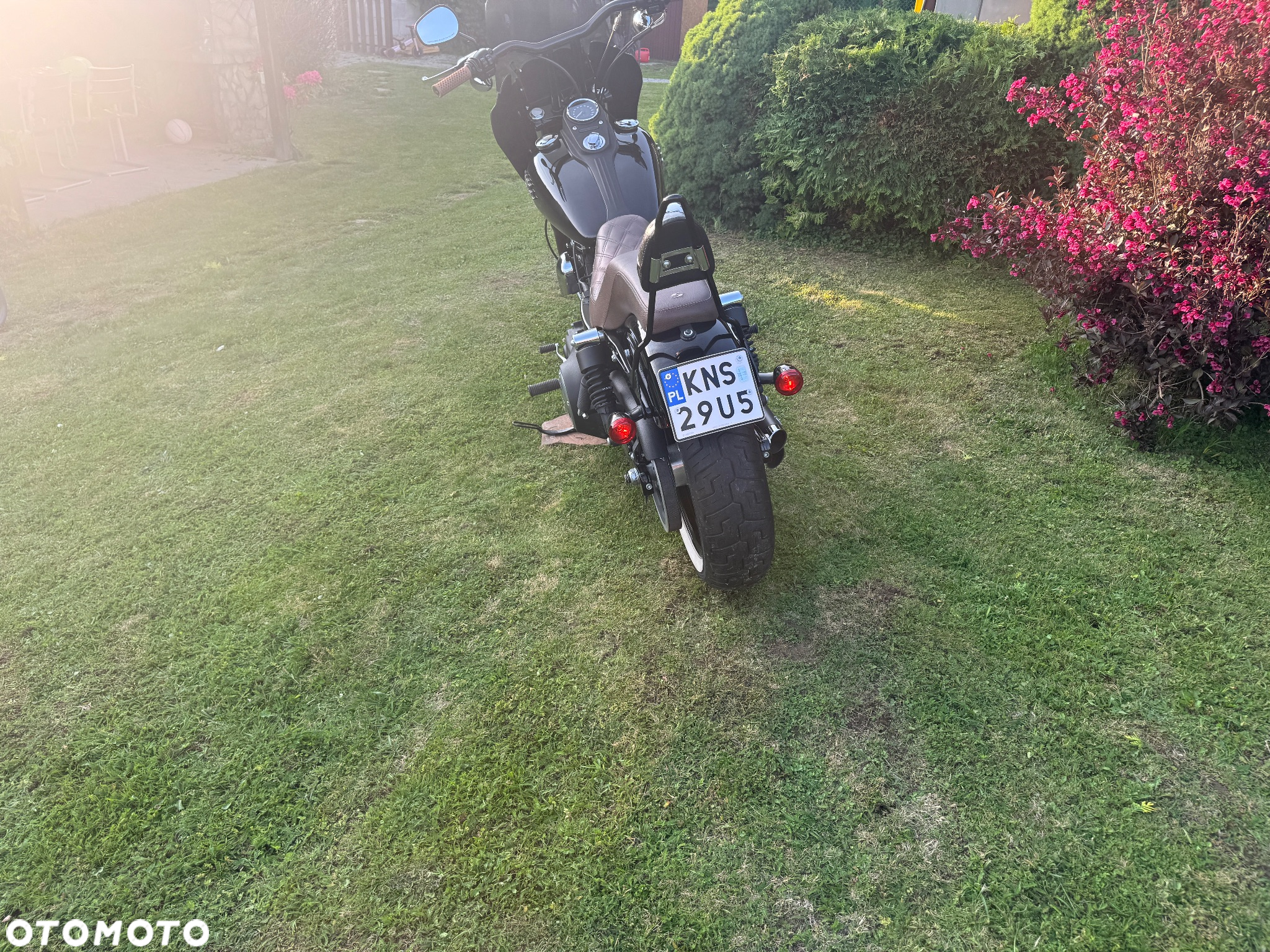 Harley-Davidson Dyna Street Bob - 3