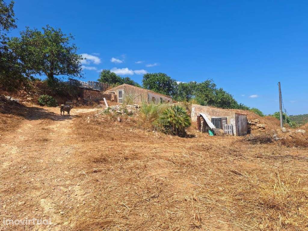 Terreno Misto com 3.680ha e capacidade de construir até 2.000m2, co... - Grande imagem: 5/16