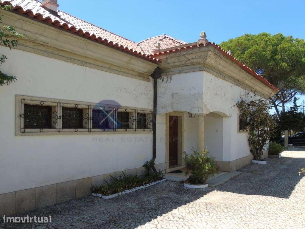 Moradia Térrea com lote 11 mil m2, com localização privilegia em Sa... - Grande imagem: 5/21