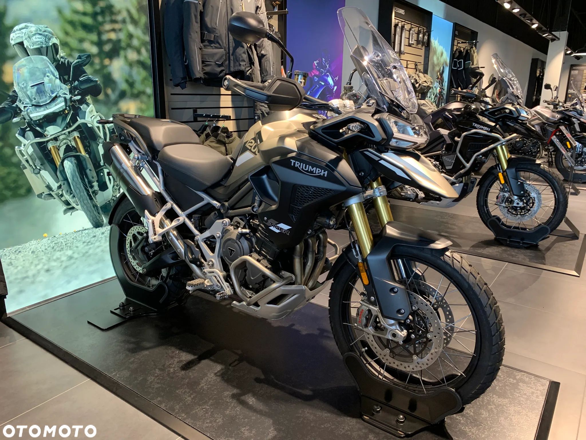 Triumph Tiger - 1