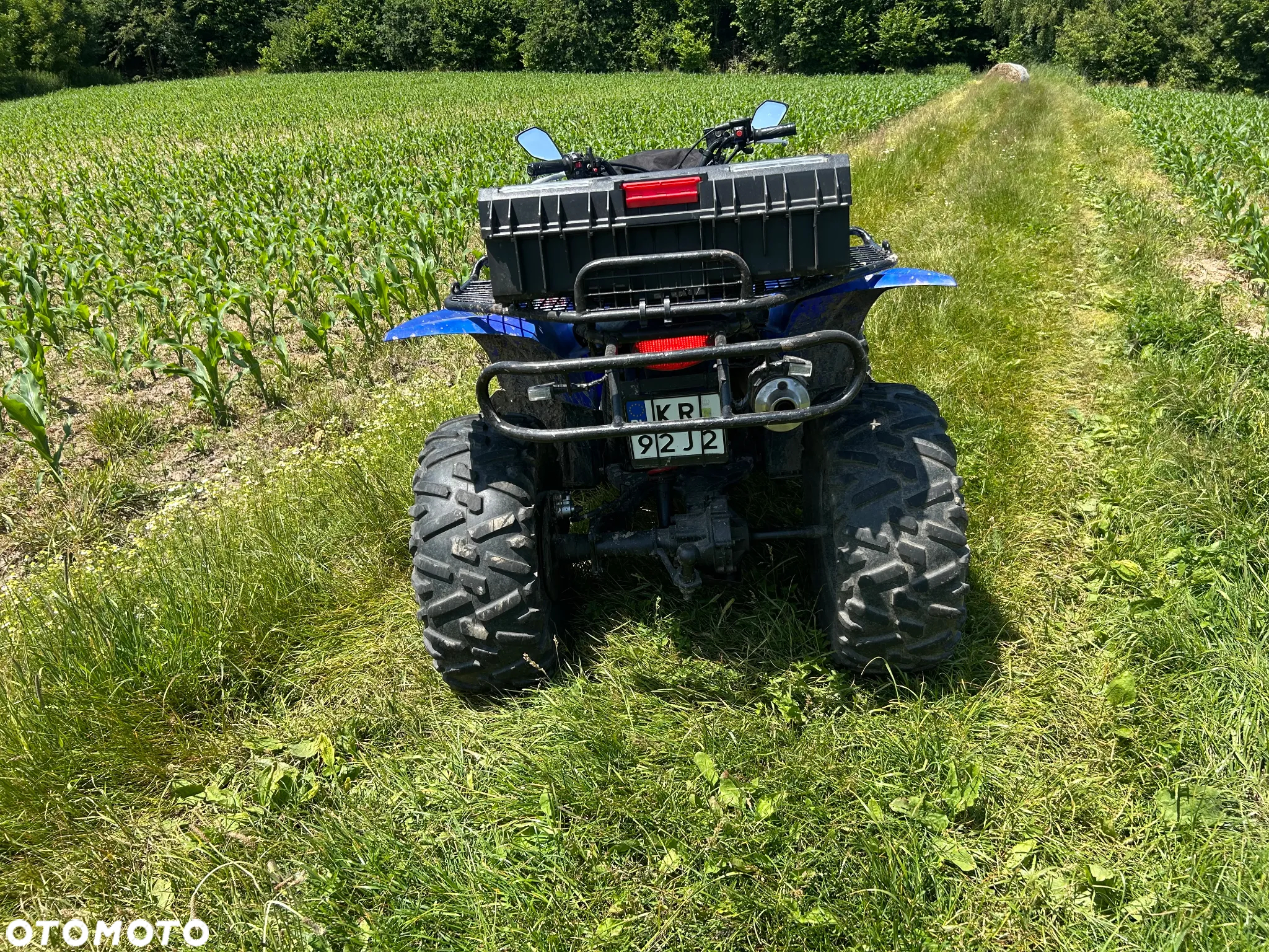 Yamaha Wolverine - 8