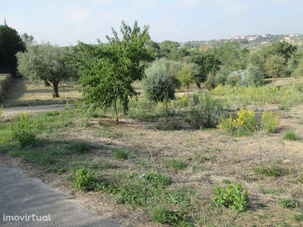 Terreno p/ Construção/Venda/Ourém - Grande imagem: 2/17