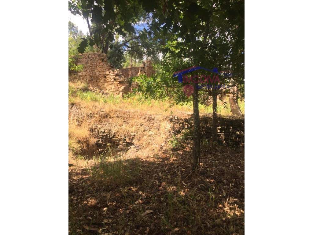 Casa de campo para reconstruir - Grande imagem: 4/18