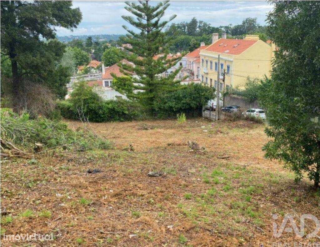 Terreno para construção em Sintra - Grande imagem: 2/12