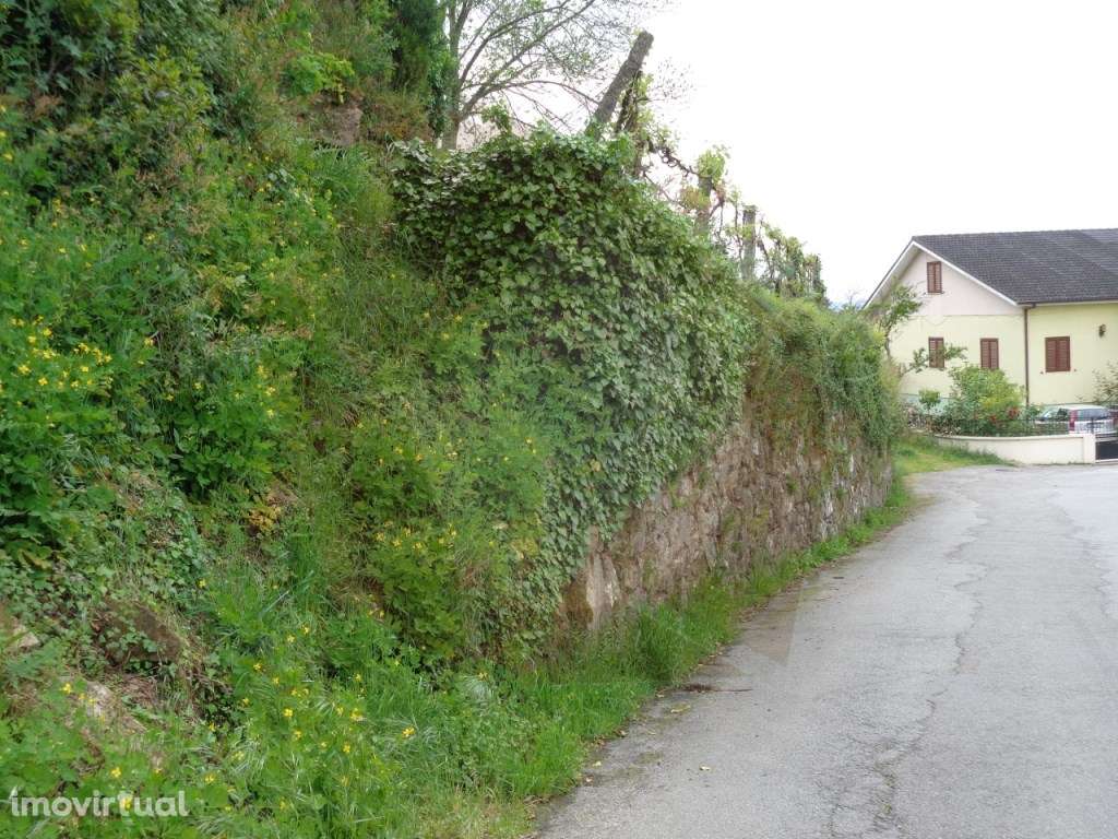 TERRENO URBANO - MELGAÇO - Grande imagem: 2/27