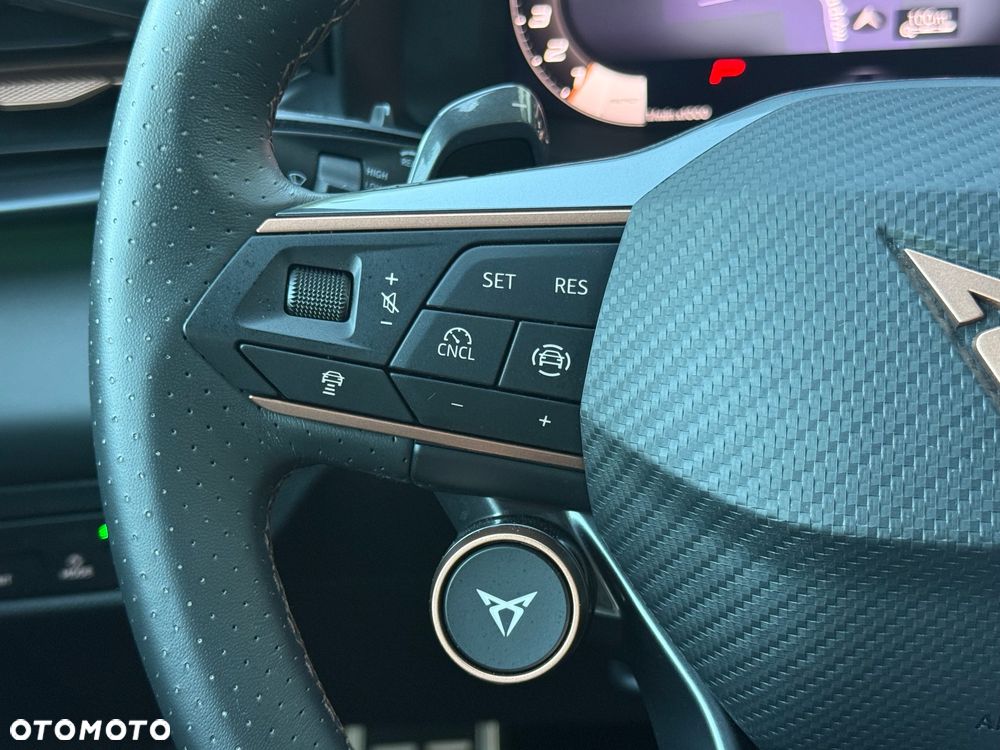Cupra Terramar 2.0 TSI 4Drive DSG VZ - 25