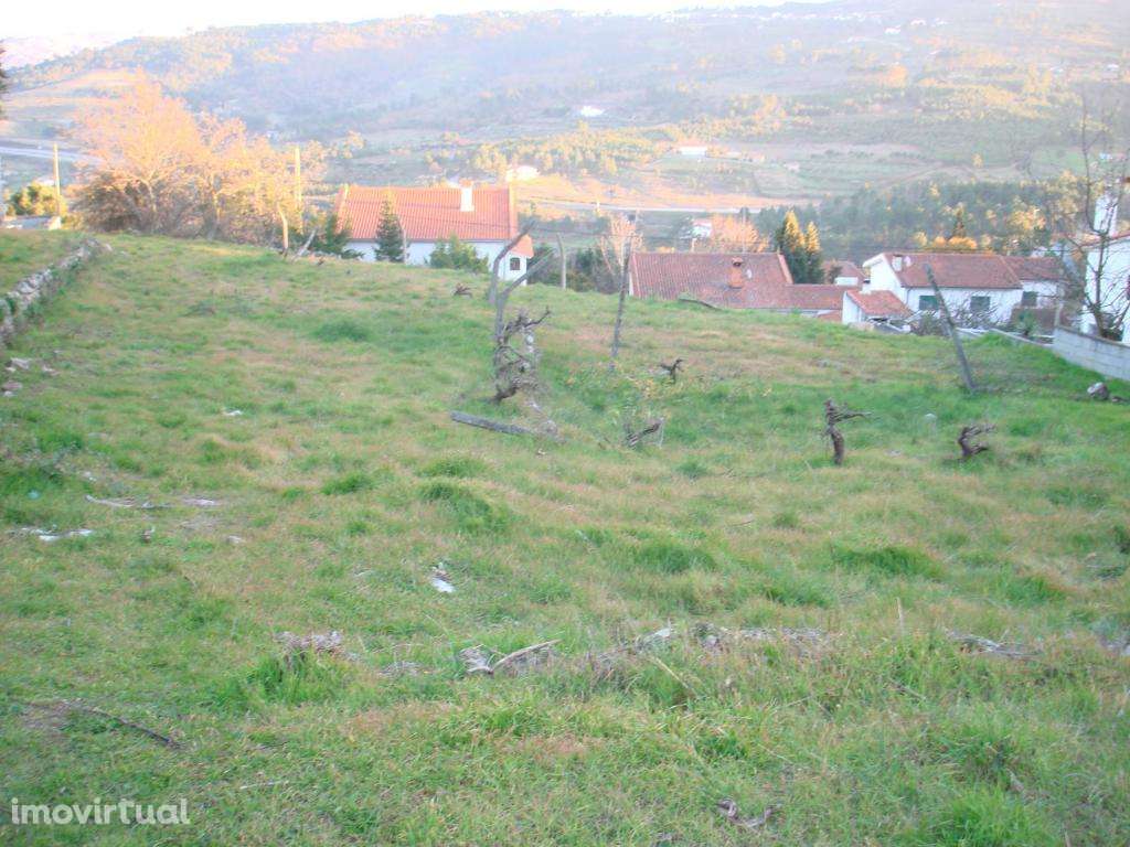 Terreno para construção - Grande imagem: 4/4