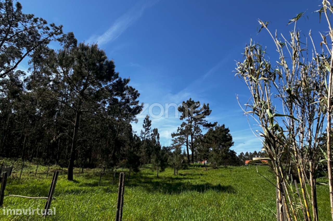 Terreno, 1 884 m², Quiaios - Grande imagem: 4/16