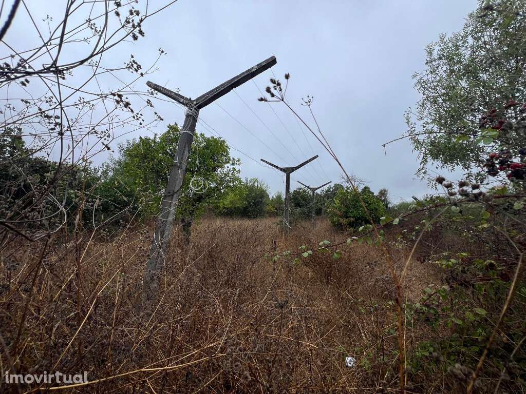 Terreno rústico em zona de São Martinho do Bispo - Grande imagem: 2/3