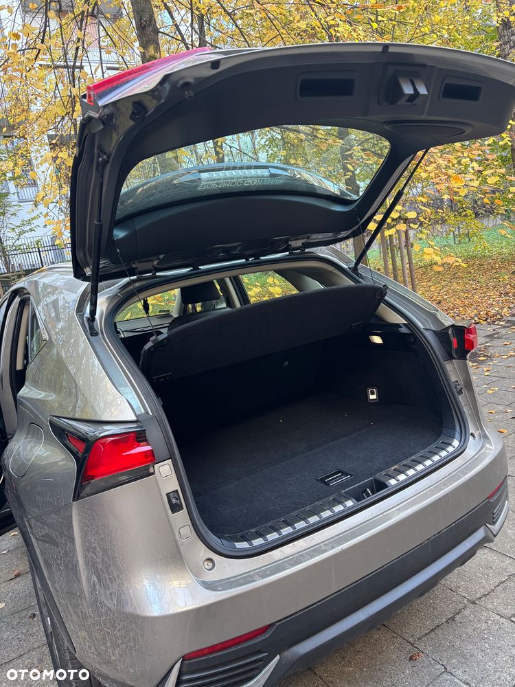Lexus NX 300h Business Edition AWD - 4