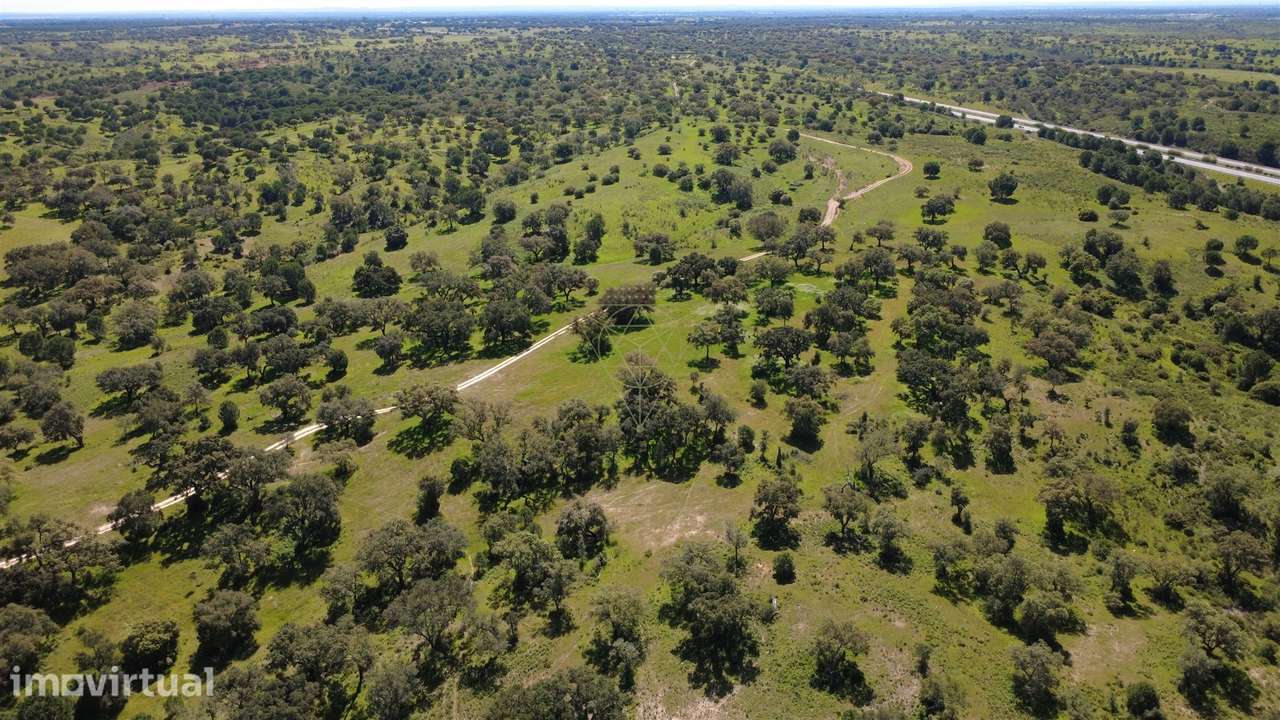 Herdade  Venda em Figueira dos Cavaleiros,Ferreira do Alentejo - Grande imagem: 2/19