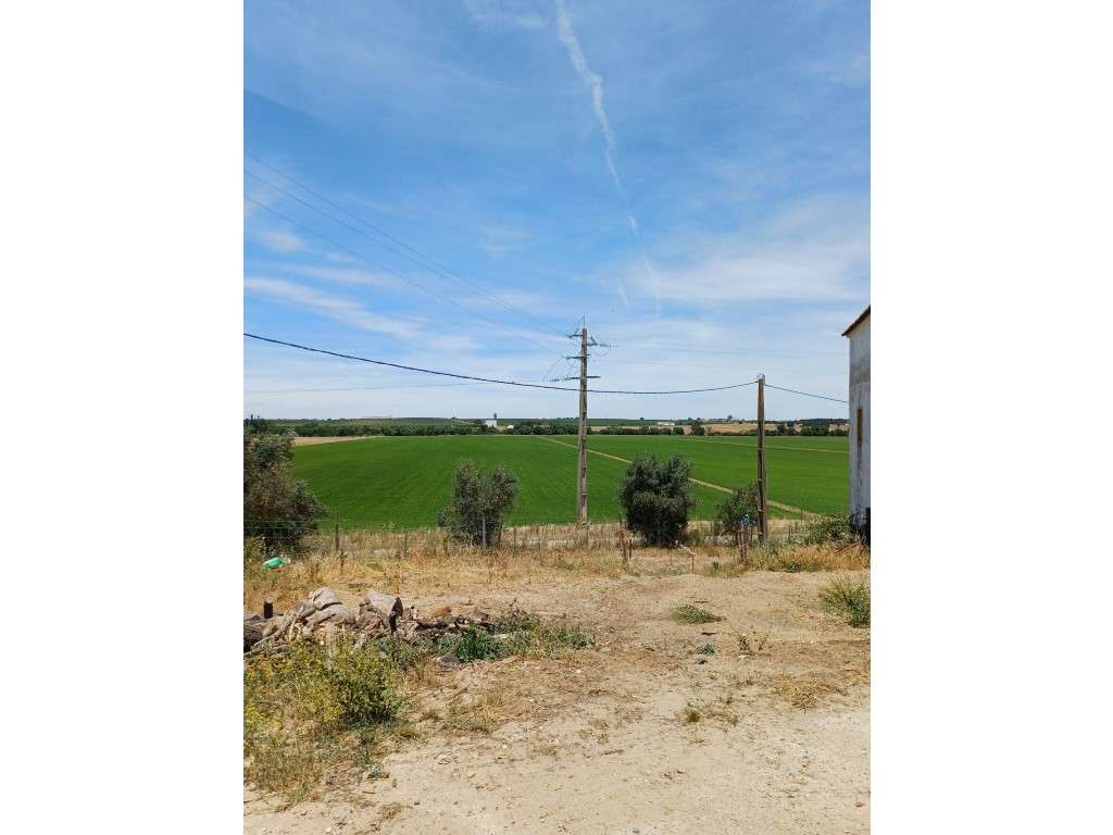 Herdade Agrícola em Aljustrel - Grande imagem: 5/20