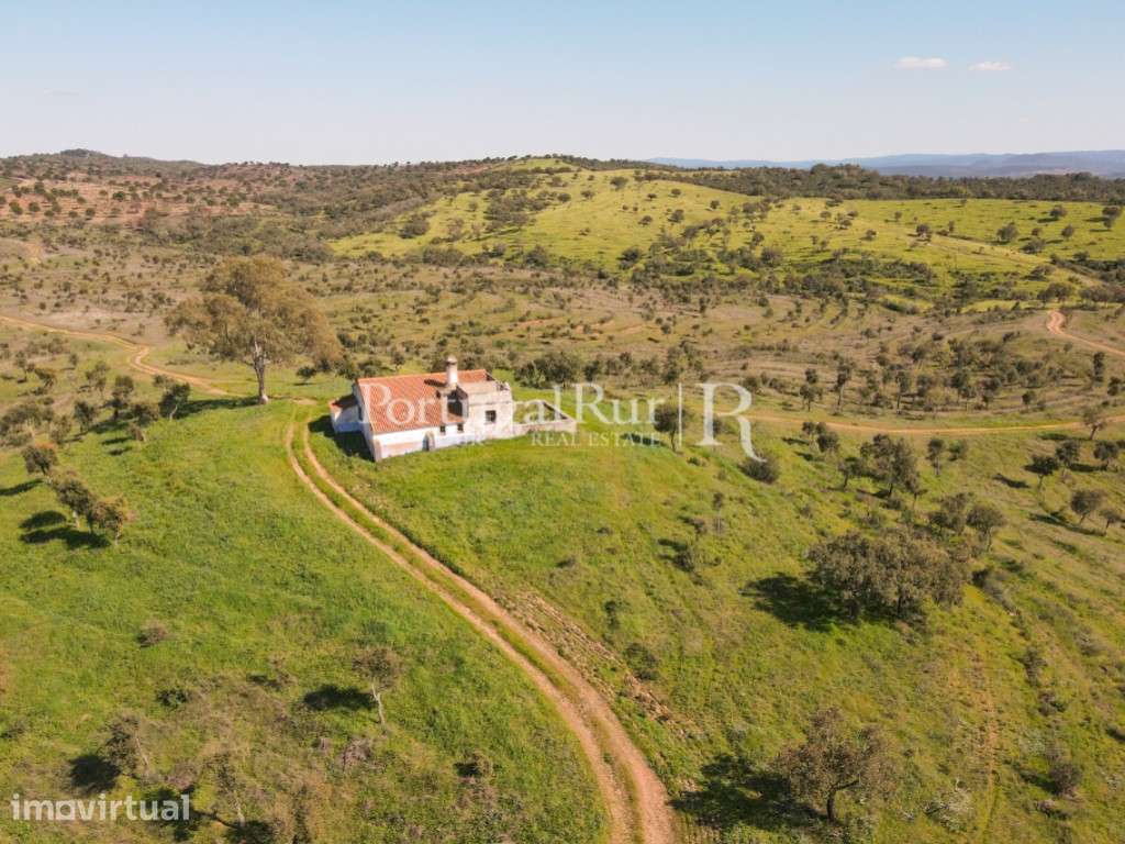 Herdade com 800 ha, 3 Barragens, Monte, Cortiça e RPB de 200m€ Ano