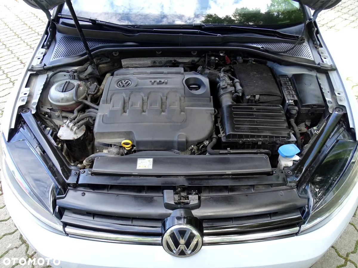 Volkswagen Golf VII 1.6 TDI BMT Comfortline - 22