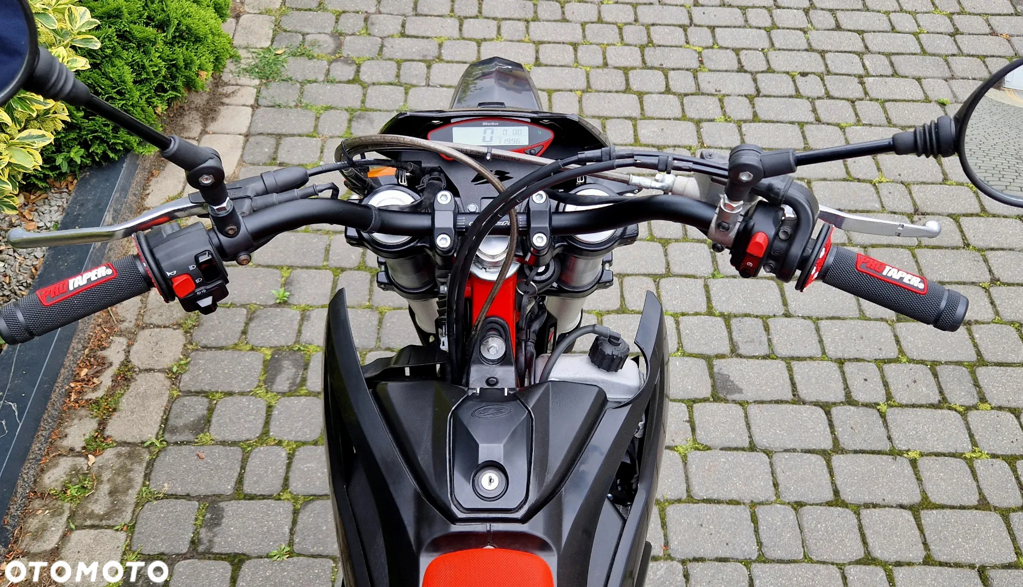 Beta RR - 8