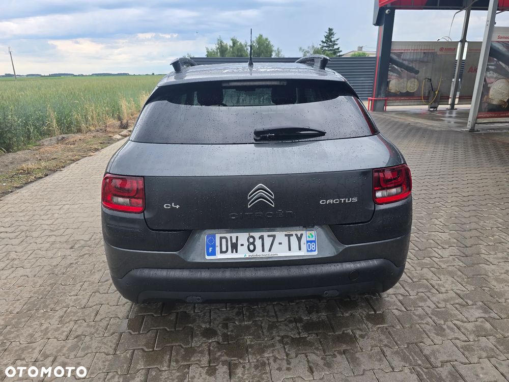 Citroën C4 Cactus PureTech 82 Shine Edition - 6