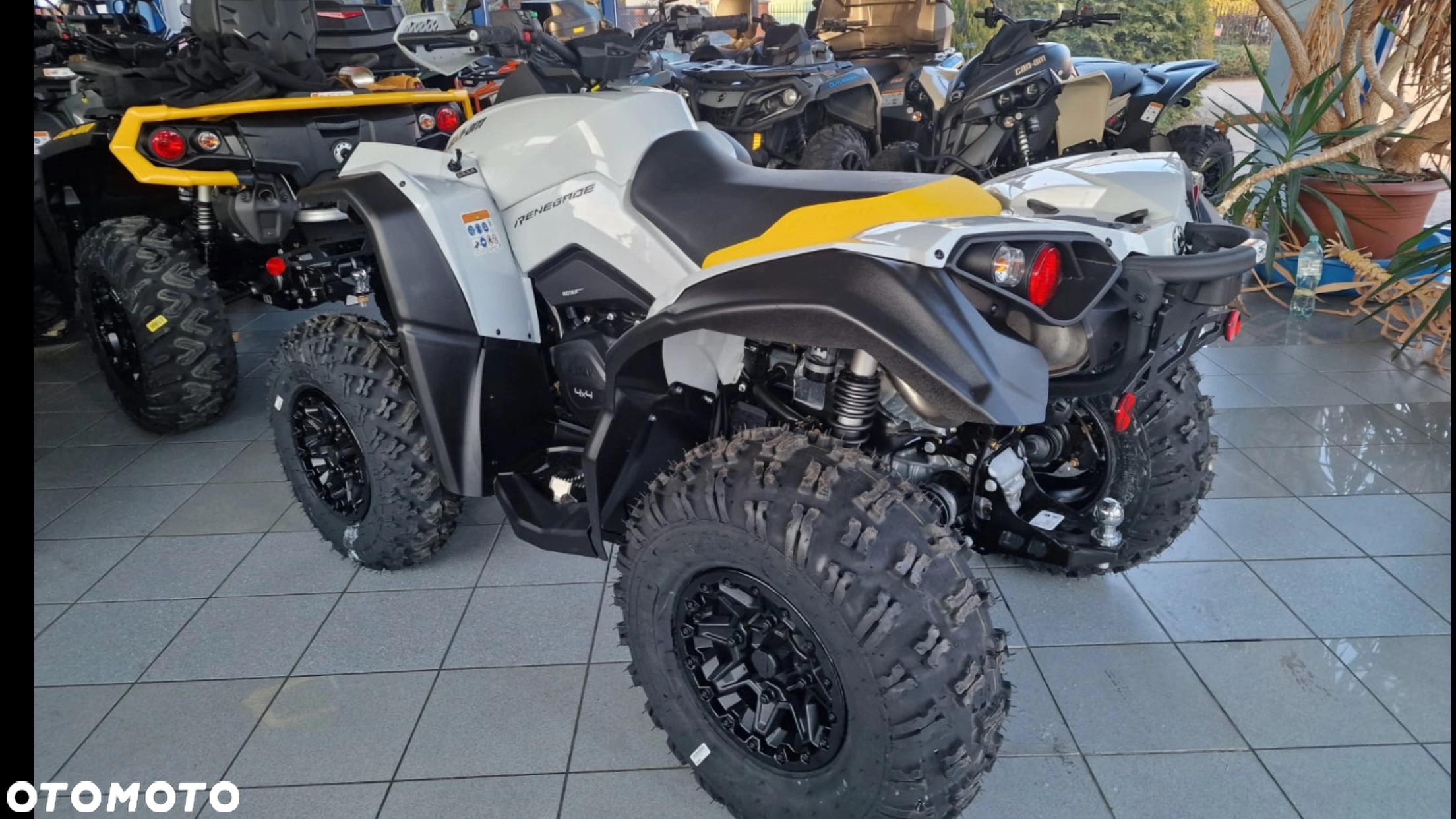 Can-Am Renegade