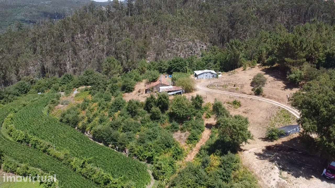 Quinta +/- 42.000 m2 – Oliveira de Frades - Grande imagem: 3/25