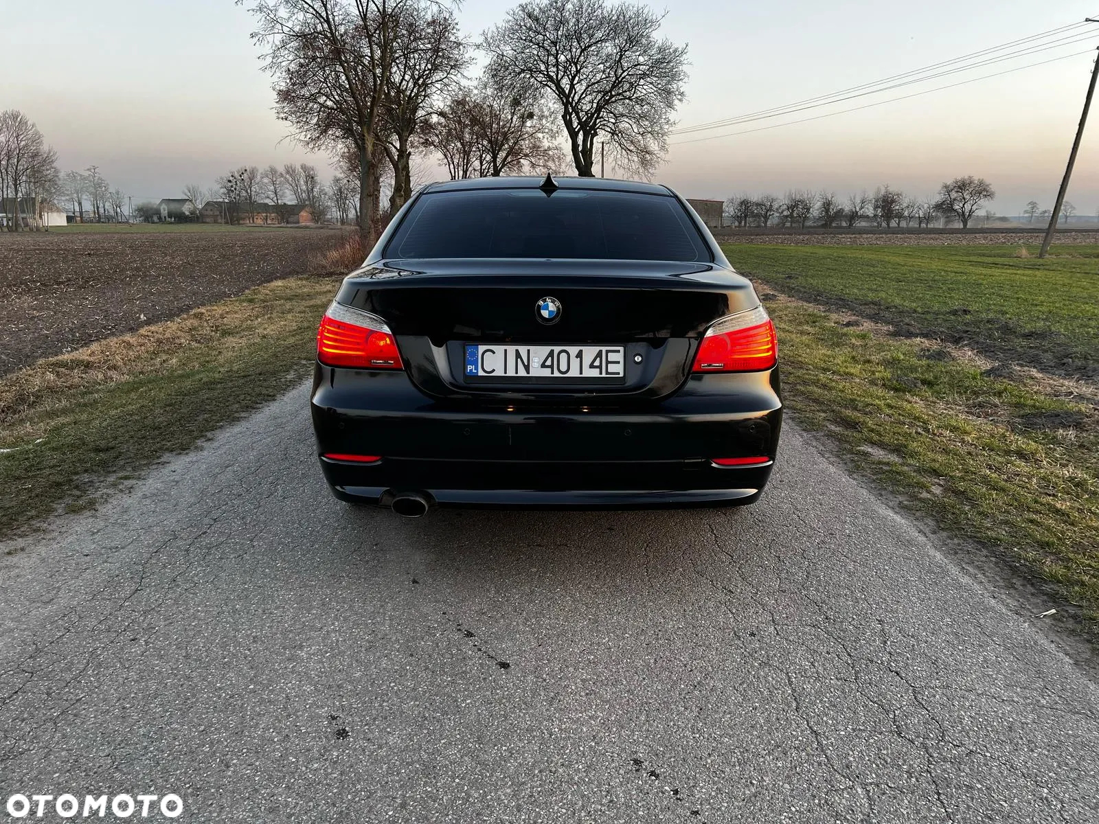 BMW Seria 5 520d - 5