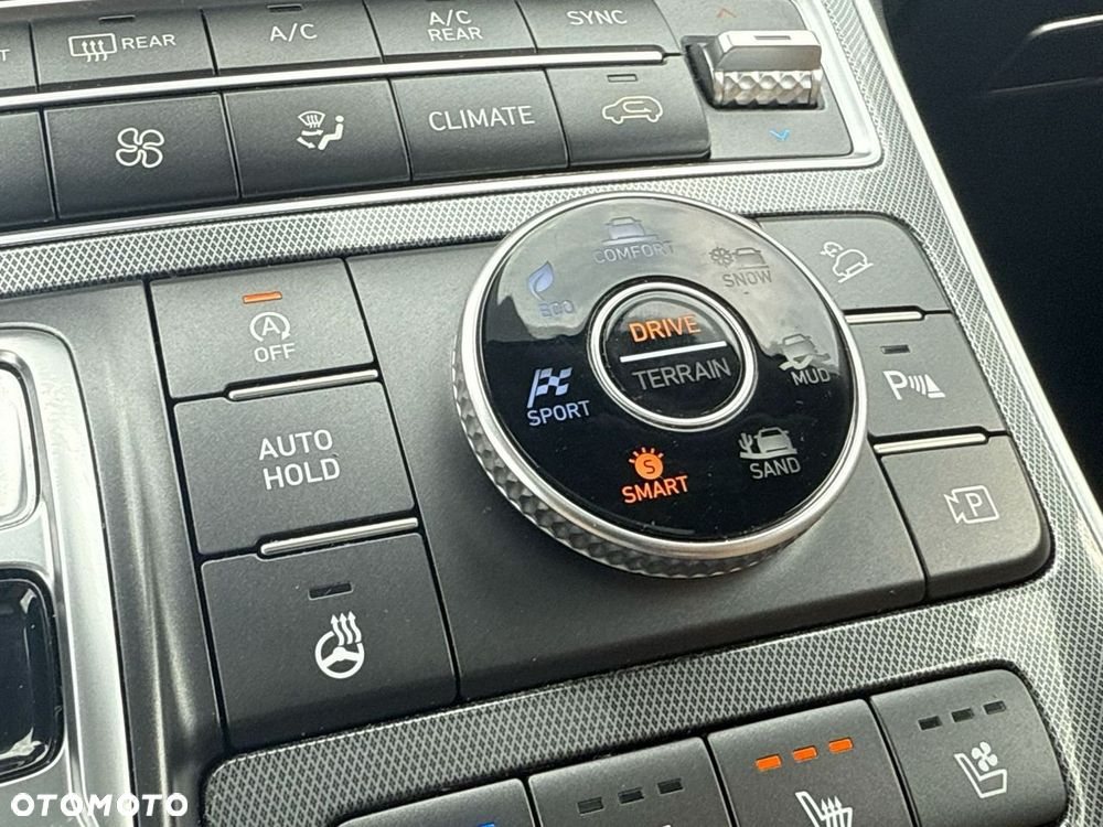 Hyundai Santa Fe - 33