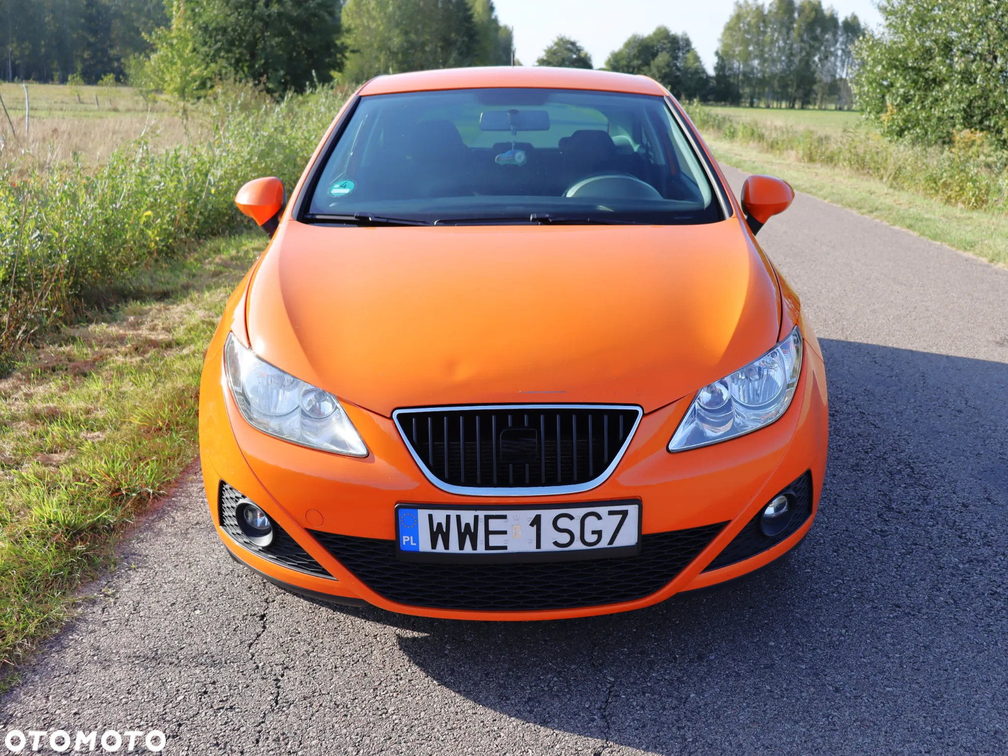 Seat Ibiza - 3