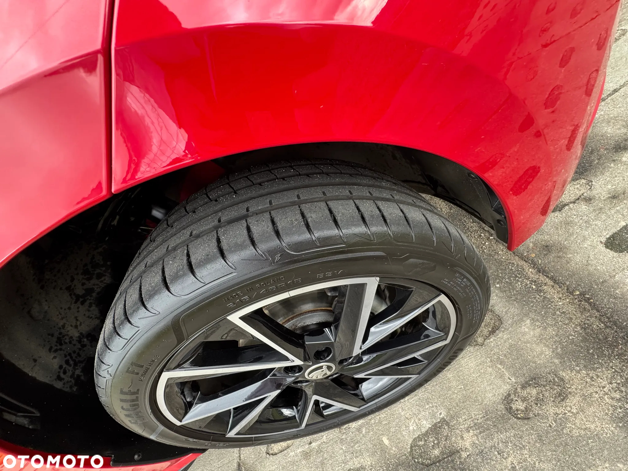 Skoda Kamiq 1.0 TSI Monte Carlo DSG - 12