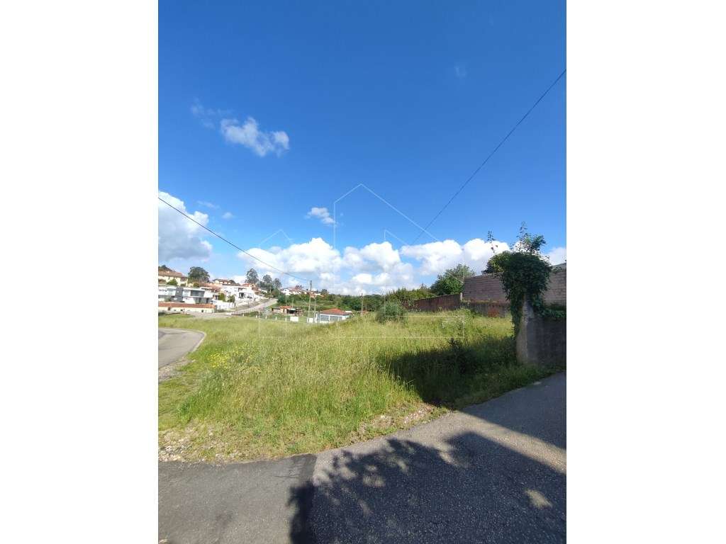 Terreno Urbano com 2.065 m² em Assilhó - Albergaria-a-Velha - Grande imagem: 3/4