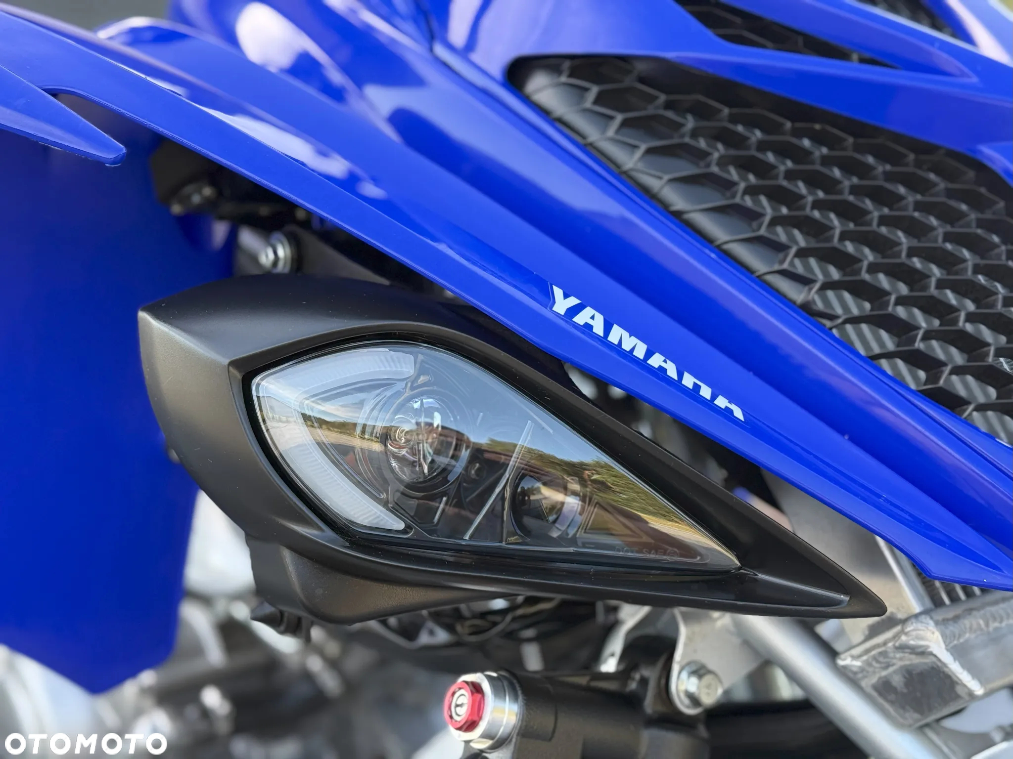 Yamaha Raptor - 8