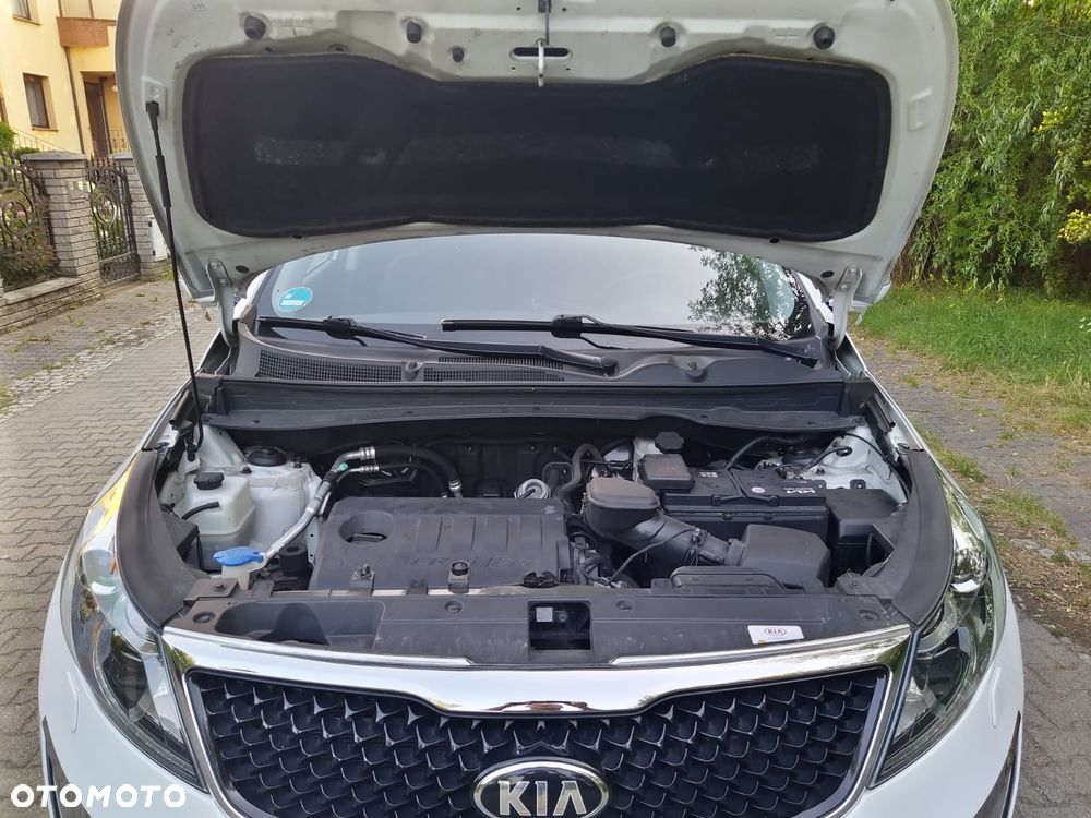 Kia Sportage - 3