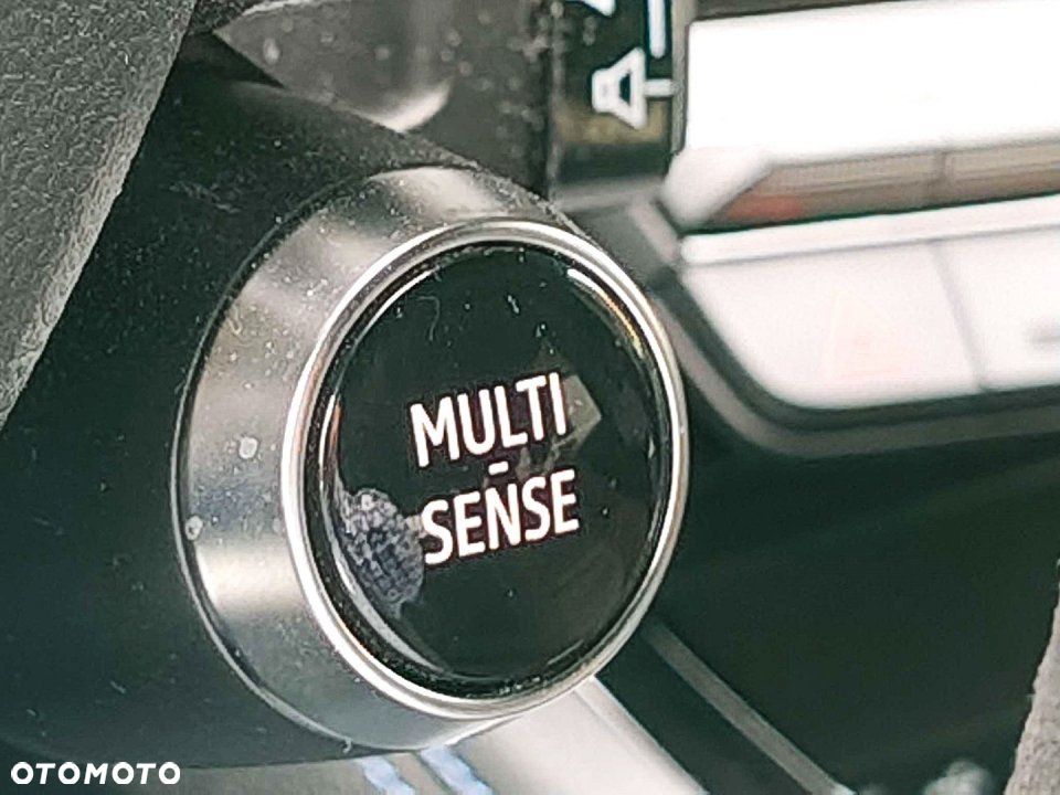 Renault Austral - 16