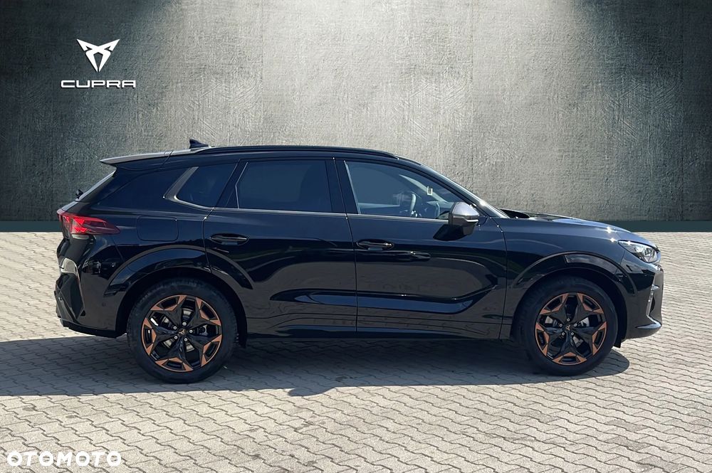 Cupra Terramar 2.0 TSI 4Drive DSG - 6
